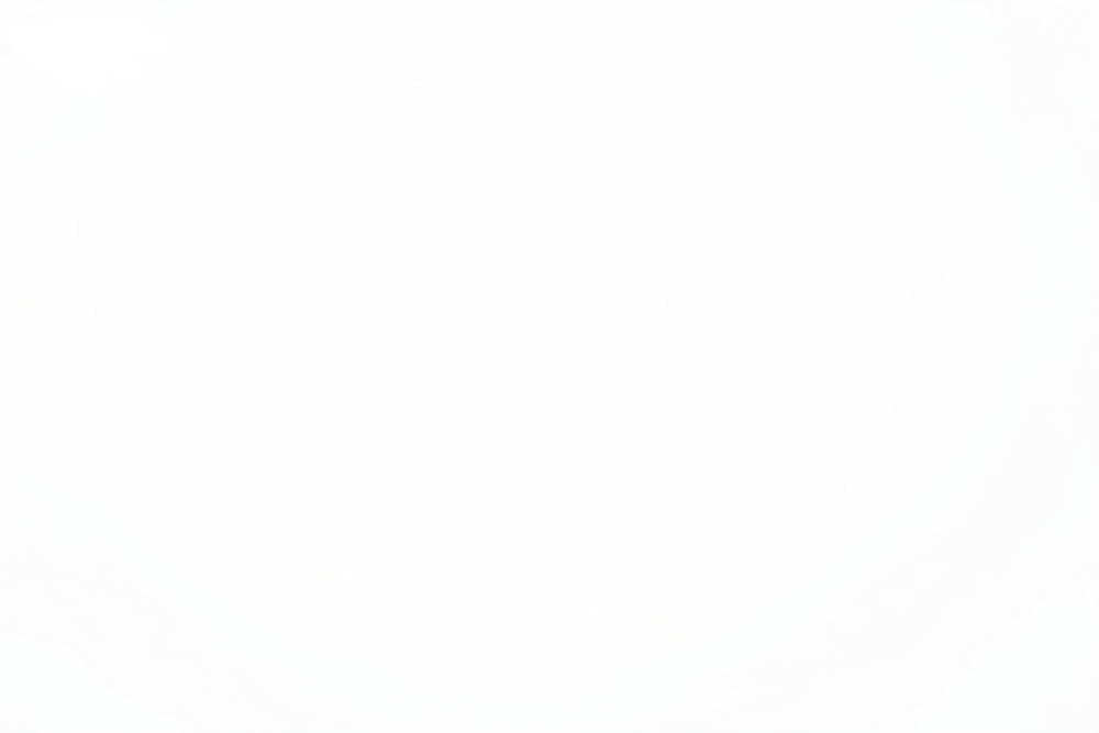 blank white use #FFFFFF